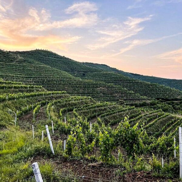 Bogove Waterfall + Wine Tasting