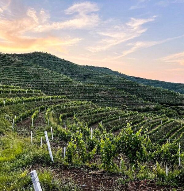 Bogove Waterfall + Wine Tasting