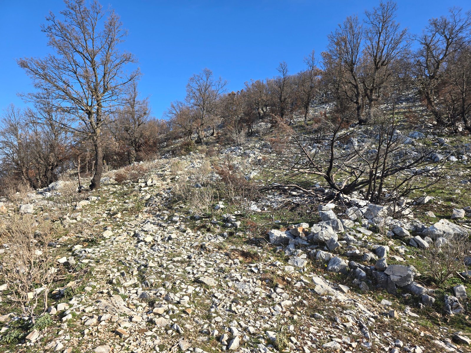 2026-03-15_08-26-10.jpg