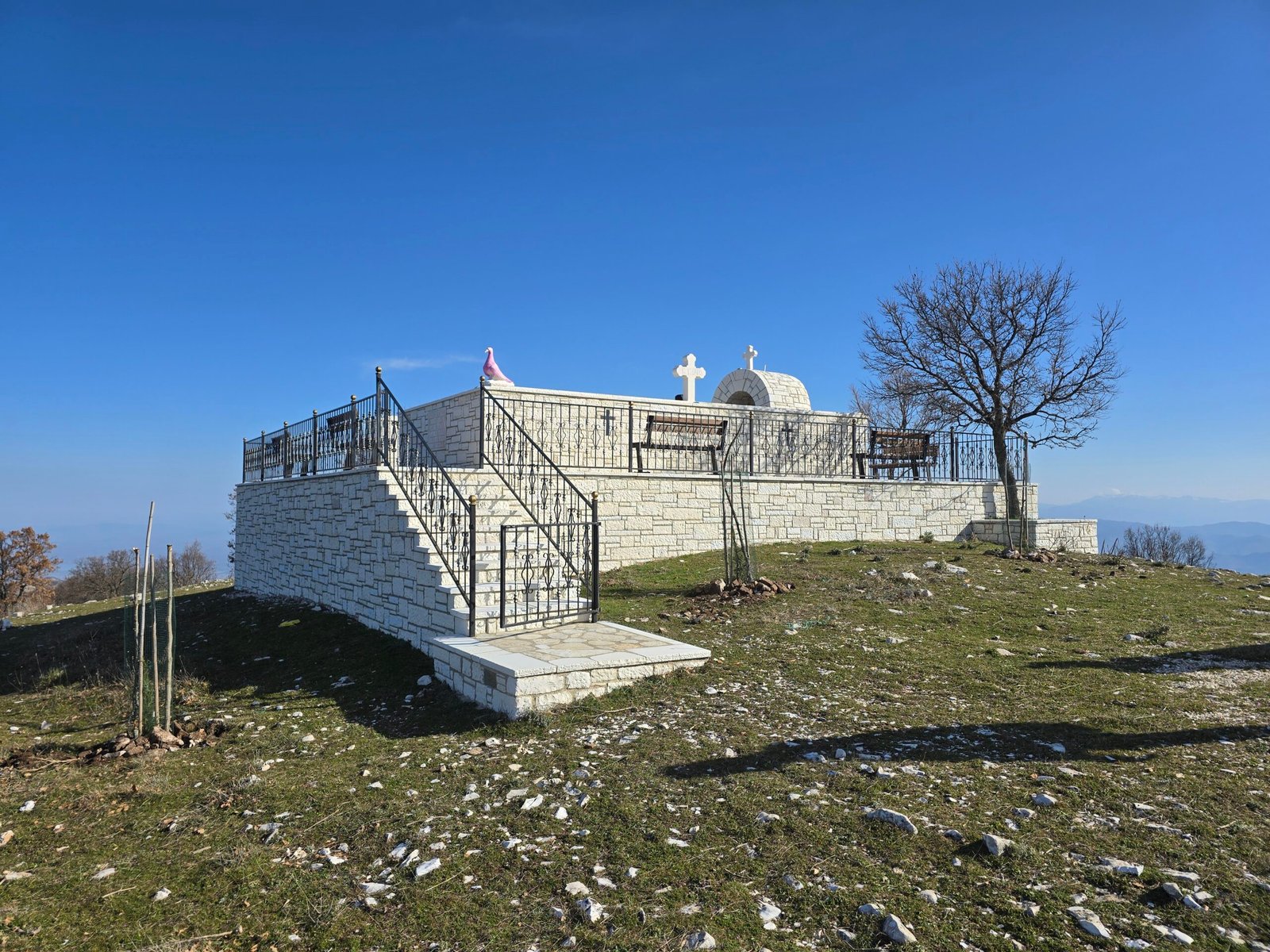 2026-03-15_08-33-47.jpg